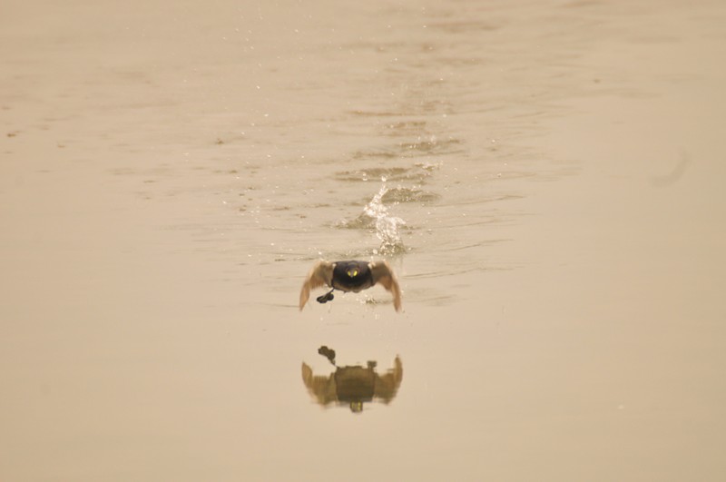 Camminare sull''acqua .... si pu�.